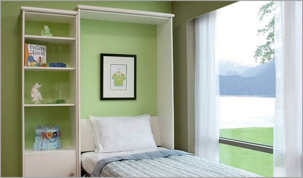 Room with murphy bed and shelves